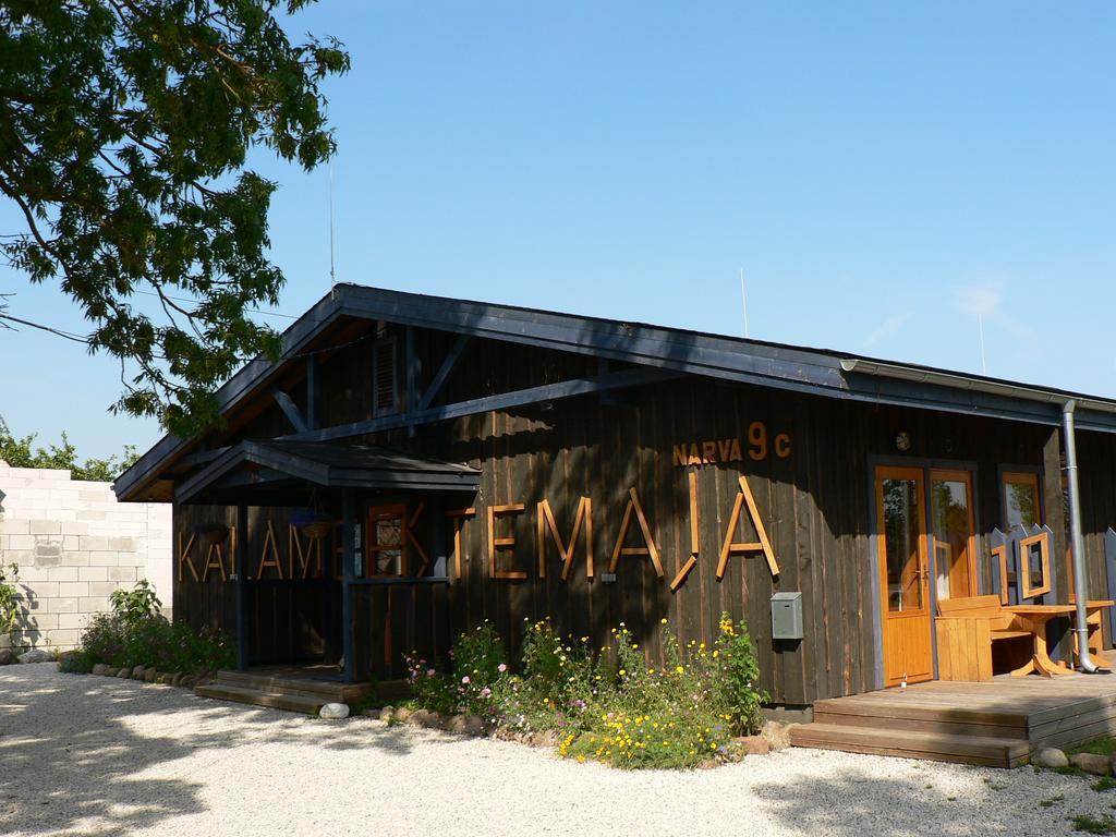Hostel Kalameeste Maja Mustvee Exteriér fotografie