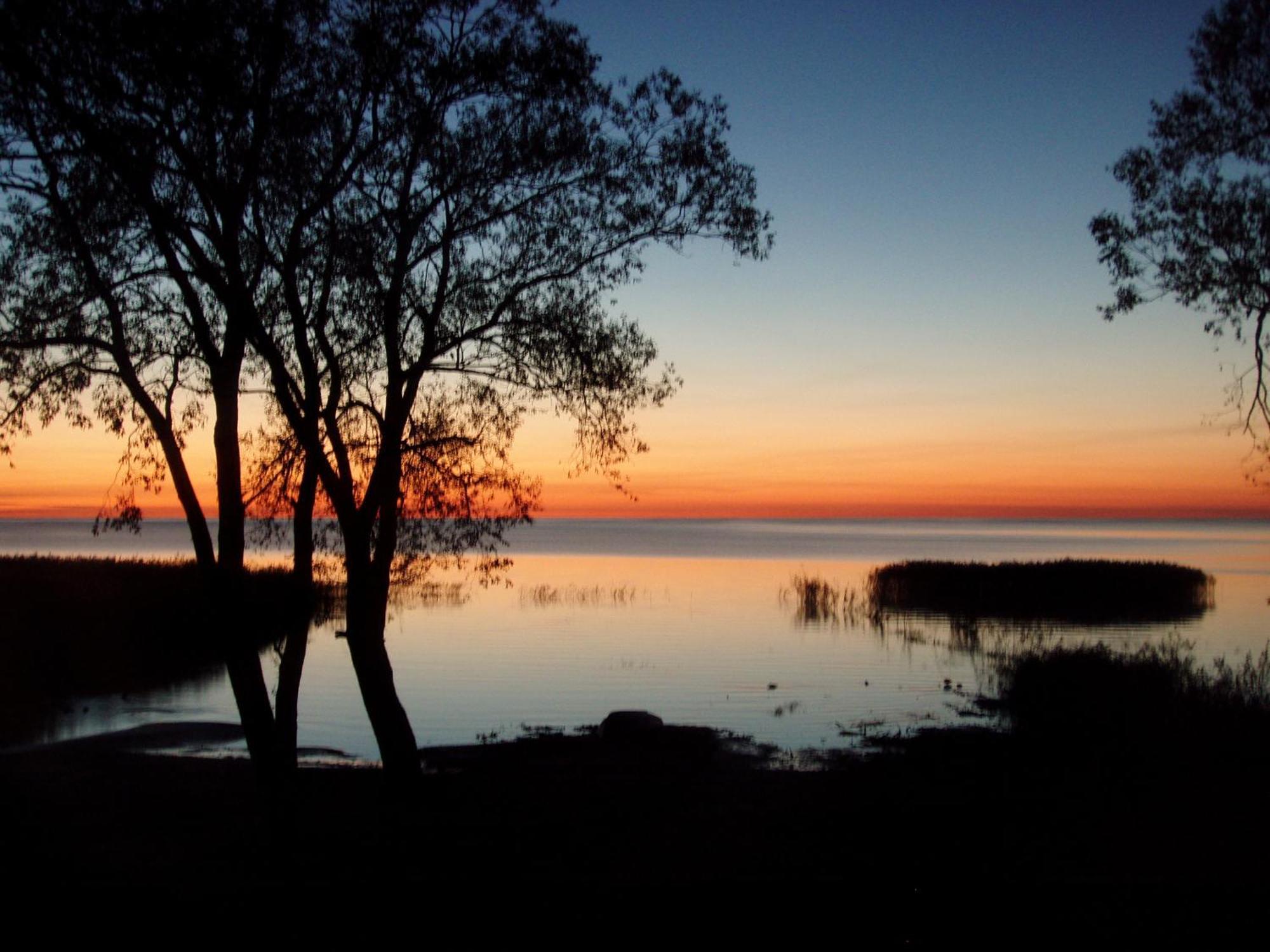 Hostel Kalameeste Maja Mustvee Exteriér fotografie