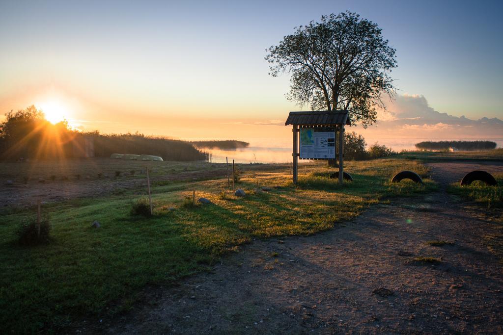 Hostel Kalameeste Maja Mustvee Exteriér fotografie