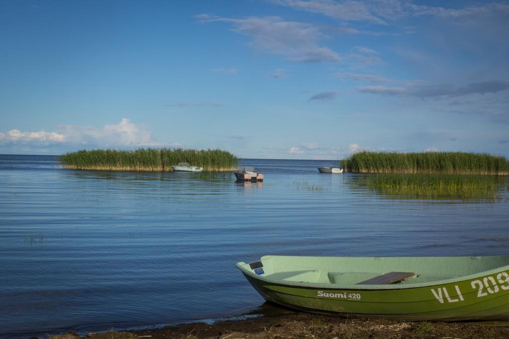 Hostel Kalameeste Maja Mustvee Exteriér fotografie