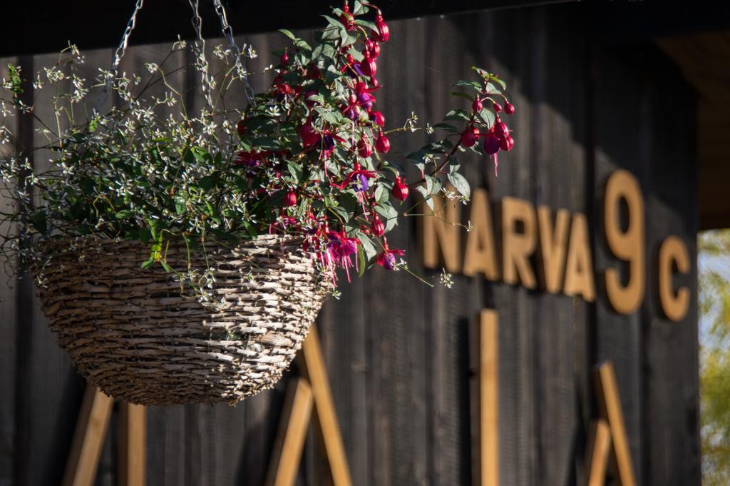 Hostel Kalameeste Maja Mustvee Exteriér fotografie