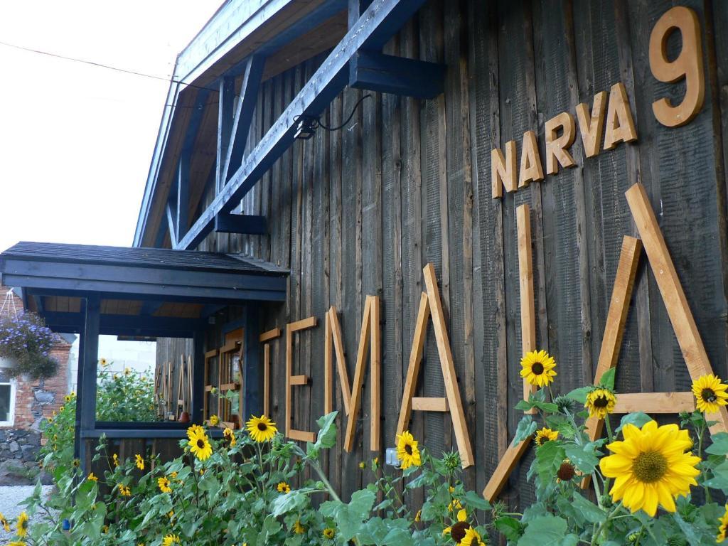 Hostel Kalameeste Maja Mustvee Exteriér fotografie