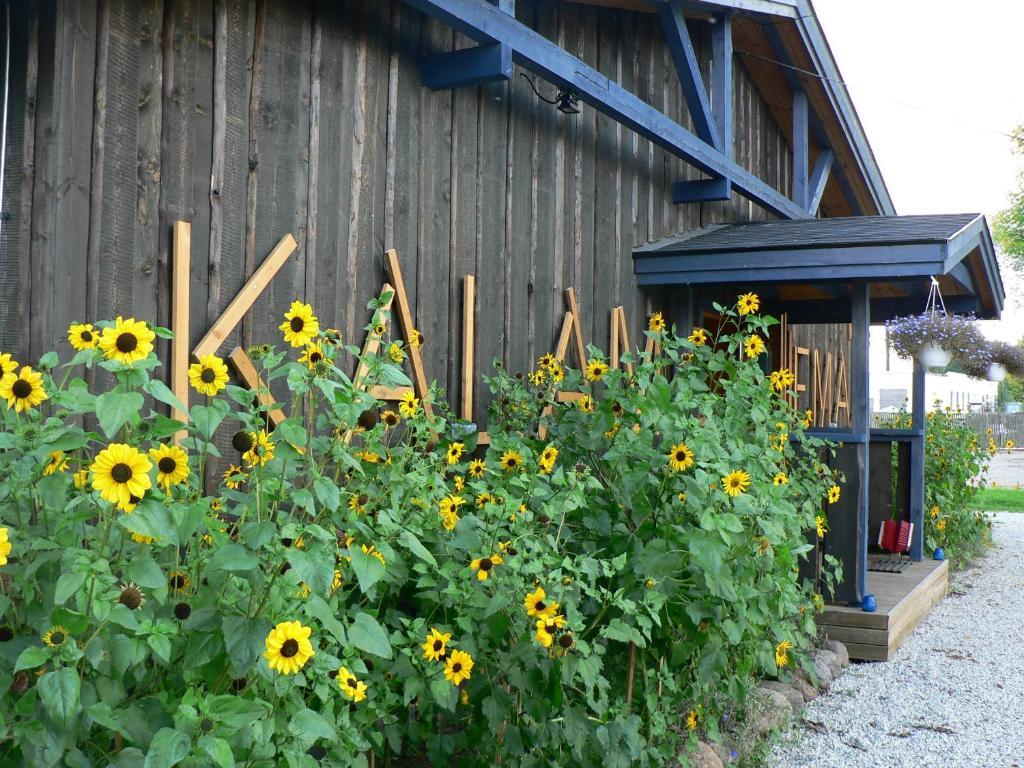 Hostel Kalameeste Maja Mustvee Exteriér fotografie